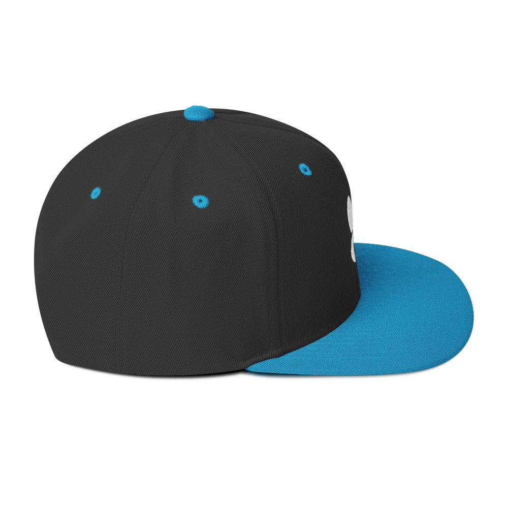 RDZ Snapback (White Logo)